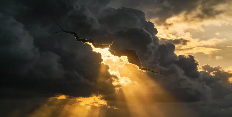 清远肺癌靶向120基因检测（组织）图片1